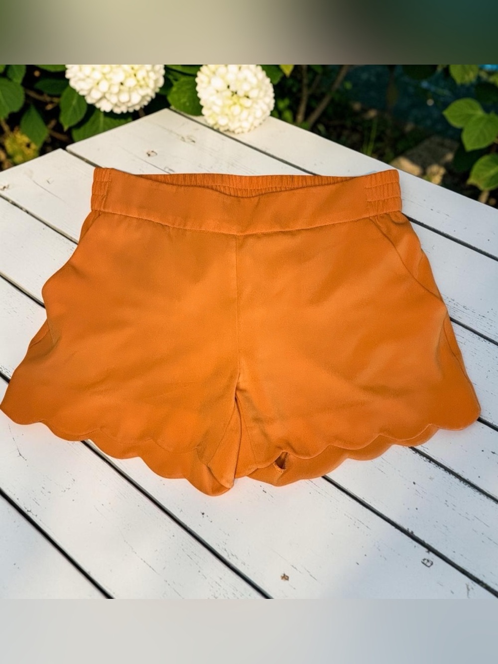 New York & Company Scallop Hem Shorts in Orange Women XS